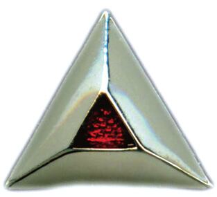 TKE candidate pin
